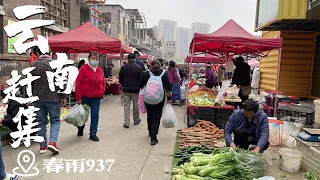 Yunnan Chunyu 937 catches up with the market 雲南文創街區春雨937趕大集，吃完大鍋羊肉湯，熱熱鬧鬧地趕集