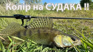 На цей колір точно клює на ставку !! Ловля судака на спінінг