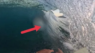 SURF à Moorea - Toujours à la quête du tube !