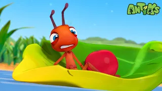 Hooked ↪️| ANTIKS | Moonbug Kids - Funny Cartoons and Animation
