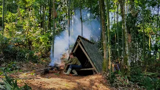 Her bad husband kicked her out of the house - Shebuilt a small house in the forest | Lý Tiểu Lai