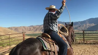 Roping Shots - Restarting a Horse