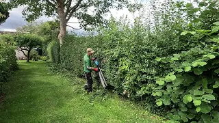 Trimming Loads Of OVERGROWN HEDGES On This Property