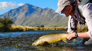 Fly Fishing BIG BROWN TROUT in a GORGEOUS, high country spring creek