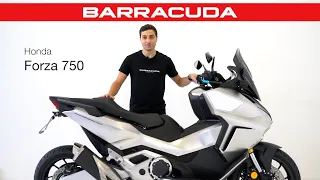 BARRACUDA Presenta: Honda Forza 750