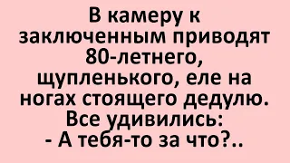 Сборник веселых анекдотов! Смешные до слез! Юмор!