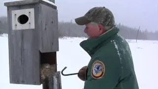 Wood Duck Boxes