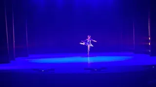 BALLET LE CORSAIRE - Medora Variation Act 3