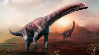 Die 10 größten Dinosaurier