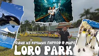 Восторг от лучше парка Европы - Loro Parque Tenerife | Пингвинариум. Океанариум. Касатки.