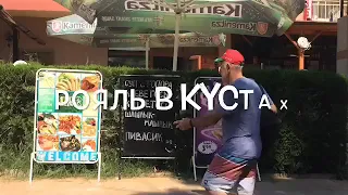 Рояль в кустах