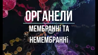 Органеллы / Мембранные и немембранные органеллы и их строение.