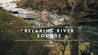 Relaxing River Sounds - Peaceful Forest River -  HD 1080p - Nature Video - Meditation