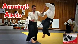 Amazing Aikido in Greece - Shirakawa Ryuji shihan