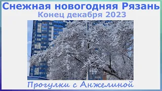 Снежная новогодняя Рязань. Конец декабря 2023. Прогулки с Анжелиной