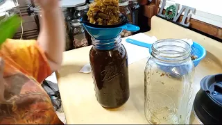 Straining The Purple Dead Nettles Tincture