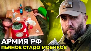 ТОТАЛЬНЫЙ АЛКОГОЛИЗМ и ДЕЗЕРТИРСТВО: русские бегут / Псы путина угрожают ЯДЕРКОЙ / @shaleniy_kit