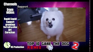 Топ 10 Гейб собак Ремикс 2!