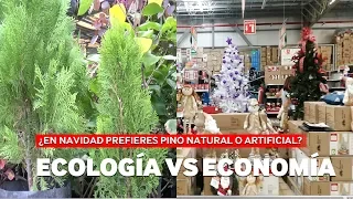 ¿ÁRBOL NAVIDEÑO NATURAL O ARTIFICIAL?