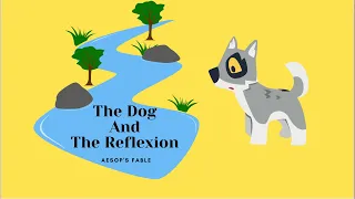 013 The Dog and Reflexion