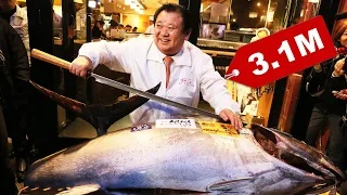 Why Is Bluefin Tuna So Expensive Is It Actually Worth The Price?