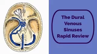 The Dural Venous Sinuses Rapid Review