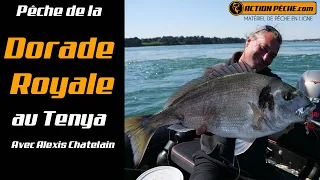 Comment pêcher la dorade royale au tenya dans le Golfe du Morbihan ?  avec Alexis Chatelain