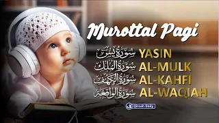 MUROTTAL PAGI ALQURAN MERDU SURAH YASIN, ALMULK, ALKAHFI, ALWAQIAH | PENYEJUK HATI DAN PIKIRAN