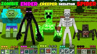 ZOMBIE ENDERMAN SPIDER SKELETON CREEPER ATTACKED THE VILLAGE in Minecraft How To play Master School