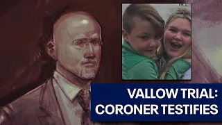 Coroner details causes of deaths for JJ Vallow & Tylee Ryan