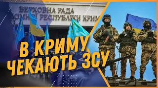 ❗️ НЕ КОНТРОЛЮЮТЬ СИТУАЦІЮ ! ТАШЕВА: кримська "влада" не знає, як реагувати на бавовну в КРИМУ