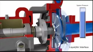 Dynamic Sealing in Chemical Process Pumps