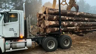 A good day for a log truck ride