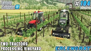 Removing weeds, two tractors work in the vineyard | Erlengrat Farm | Farming simulator 22 | ep #104