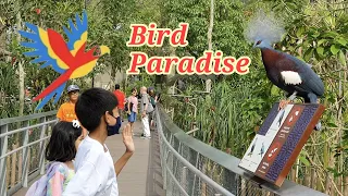 Bird Paradise Singapore || Full Tour Experience