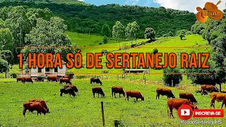 1 Hora Só Sertanejo Raiz músicas Inesquecíveis - Canal Mundo Sertanejo 2021
