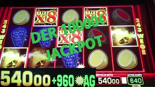 BIS ZUM 10000€ MEGA JACKPOTGEWINN! Spielautomat fliegt in die Luft! Extrem Kranke Session!