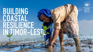 Building coastal resilience in Timor-Leste