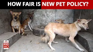 Activists Question New Pet Policy In Delhi-NCR, Call It 'Dictatorial, Unethical'