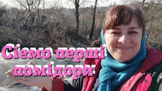 Сіемо помідори у парник.Мій спосіб посіву у ряди.🍅🍅🍅