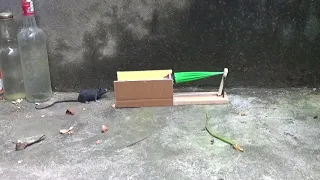 how to make a mouse trap from a slingshot simple and effective