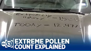 Houstonians feel effect as pollen count hits record highs