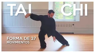 Forma de 37 movimientos | TAI CHI estilo Yang