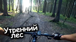 УТРЕННЯЯ ВЕЛОРАЗМИНКА #8🚴 // ЛЕС-ТРАССА-ГОРОД