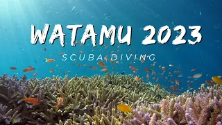 Scuba Diving in Watamu, Kenya 2023 | 4k Underwater Video