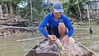 chài trúng bầy cá cóc cá lăng cá mè dinh trúng cá to lắm mọi người ơi