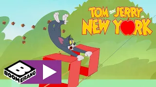 Tom i Jerry w Nowym Jorku | W pogoni za latawcem ​​| Cartoonito