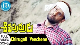 Chirugali Veechene Song - Sivaputrudu Movie Songs - Ilayaraja Songs