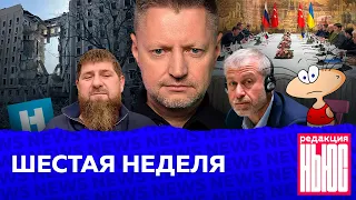 Редакция. News: шестая неделя