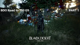 Road to 750 GS + full rare items. PART 1. Welcome back, BDO.